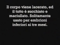No aborto