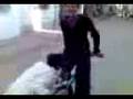 videos de gr8 cycling