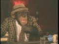 munky swearin