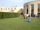Yogurt Toss - Massive Celebration
