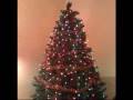 videos de Oh Christmas Tree