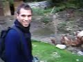 sboldrek   ale in luomo che parlava ai tacchini