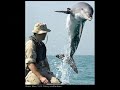 Machiavel-Fly Manele-Gratis.net