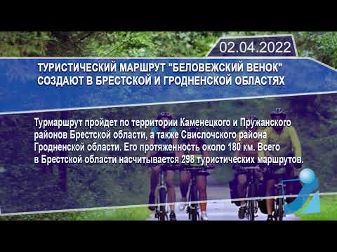 Новостная лента Телеканала Интекс 02.04.22.