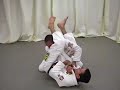 pedro-sauer-arm-bar-technique.html