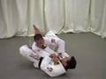 Pedro Sauer Arm Bar Technique