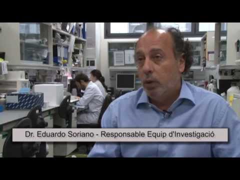 Dr. Eduardo Soriano