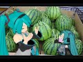 MikuMikuDance- Japanese Summer MikuMikuDance- Japanese Summer