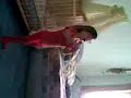 Video002.3gp