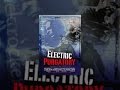 Electric Purgatory