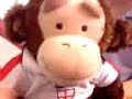 sex ed (Monkey style)