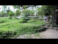 Killing fields.AVI