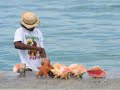 Slideshow: The Bahamas - Paradise Island - Atlantis