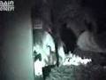 Skunkape Attack