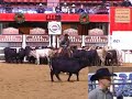 2007 NCHA Futurity Open Limited