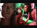 The Levellers-This Garden