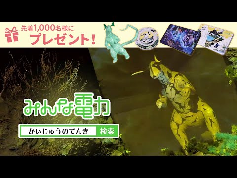 動画