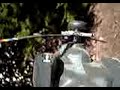 Plastic Hawk Chopper Attacks Diego