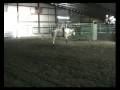 videos de Perkins / Ross Bucking Bulls 2