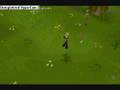 Random-Runescape-Pok