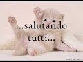Progetto I Can Fly