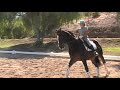 Puzzle Canter Puzzle Canter