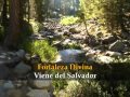 Fortaleza Divina