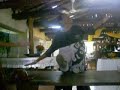 hiahiahiuahiu....
�ltima dia de acampajovem....olha o q d�....
muita com�dia...vale a pena ver at� o final....
bjoks especiais para o melilo, kiros, chinela e lucas....q nos proporcionaram este momento de risadas....kkkkkkkkkkkkkkkkkkk