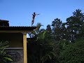Jumpando do telhado
