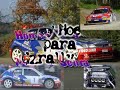 manuel senra   peugeot 306 maxi