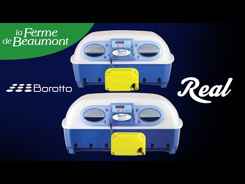Couveuse Borotto Real 49 semi-automatique