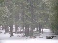 snow-in-yosemite-january-11-2007.html