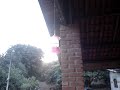 Beija Flor II - Itapeva - Minas Gerais