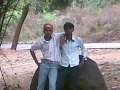 zoo photos