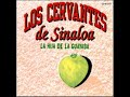 LOS CERVANTES DE SINALOA 