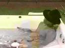 GH5 JR77 Celeste-Floppy-Sebastian jacuzzi 5