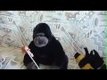 King Kong Parody