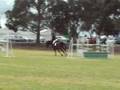 videos de Ferndale Mistral
