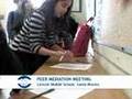 DRS Peer Mediation