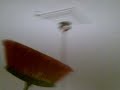 Bee-Combat 1