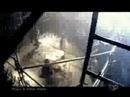 gazette-hyena.html