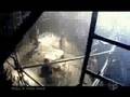 Gazette - Hyena video