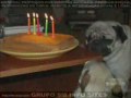 mensagem de aniversário