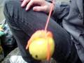 quand on est un petite patate^^ par Coco