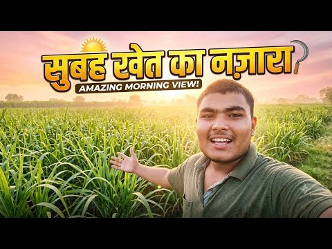 शहर छोड़ कर गाँव आया: देखिए आज क्या हुआ!