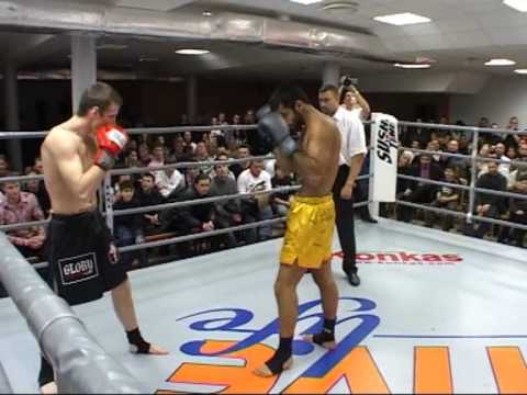zaur -