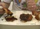 Cookeville,TN chicken judges comments