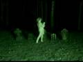 videos de GRUESOME GRAVEYARD GHOST VIDEO