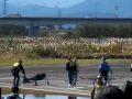 091103SANY0305　第２３回RC航空ページェント