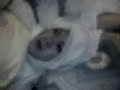 Thumbnail #3